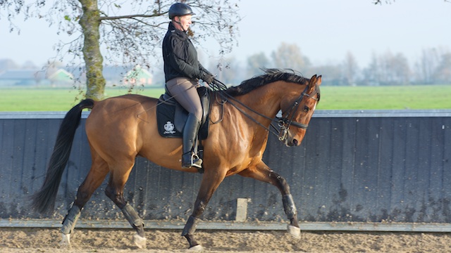 Esther van Rijswijk met Bentley